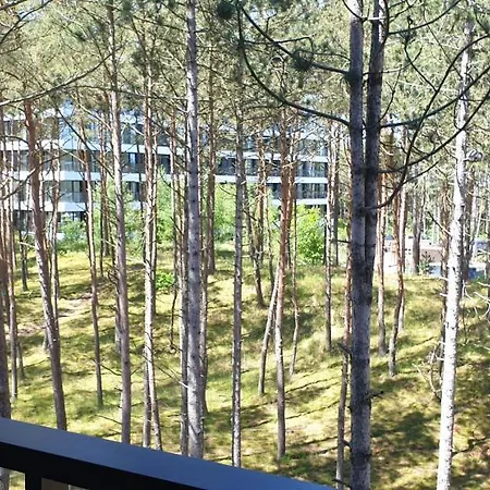 Apartament Na Wydmach Shelter Rogowo  Exterior photo