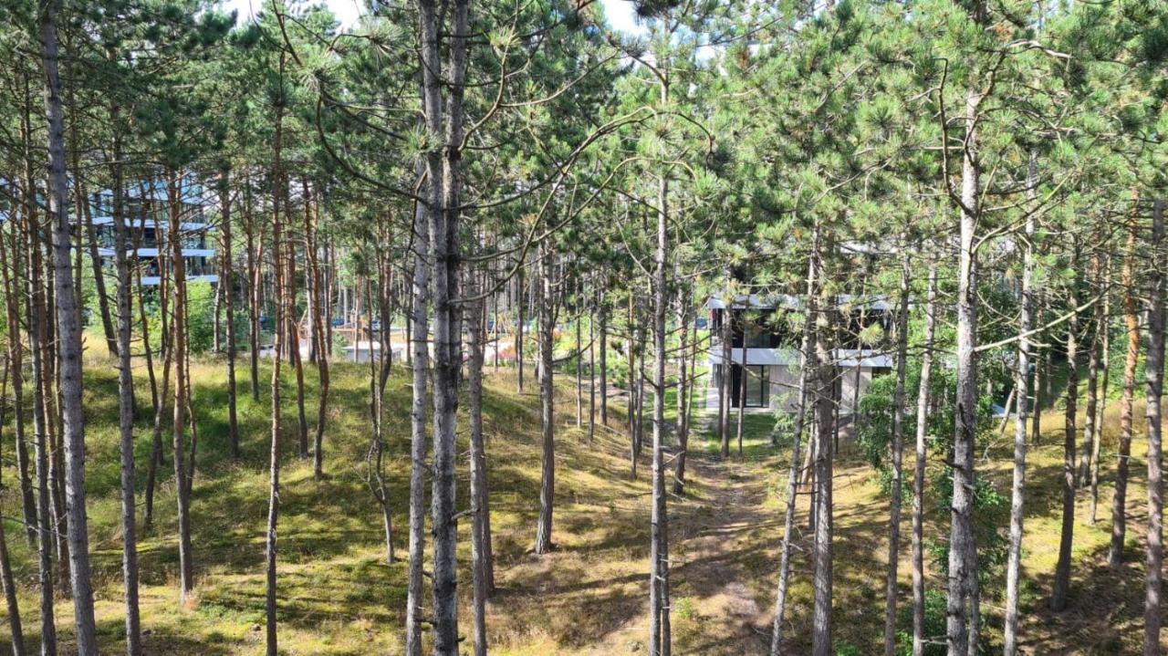 Na Wydmach Shelter Rogowo (Gryfice)